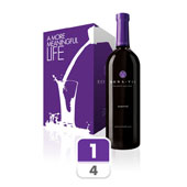 MonaVie Essential